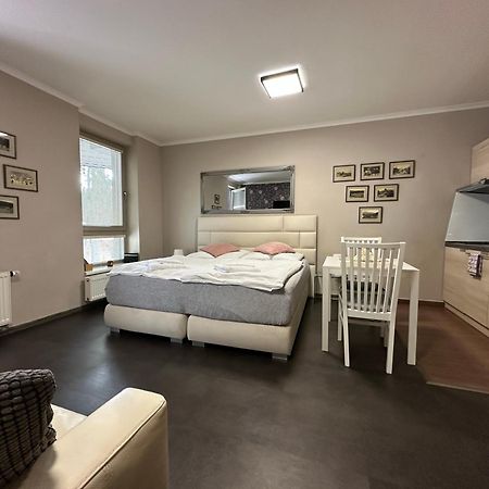 Harrachov Resident Apartments "Terrace & Chill" - High Speed Wifi, Smart Tv, Netflix, Disney Plus Exteriör bild