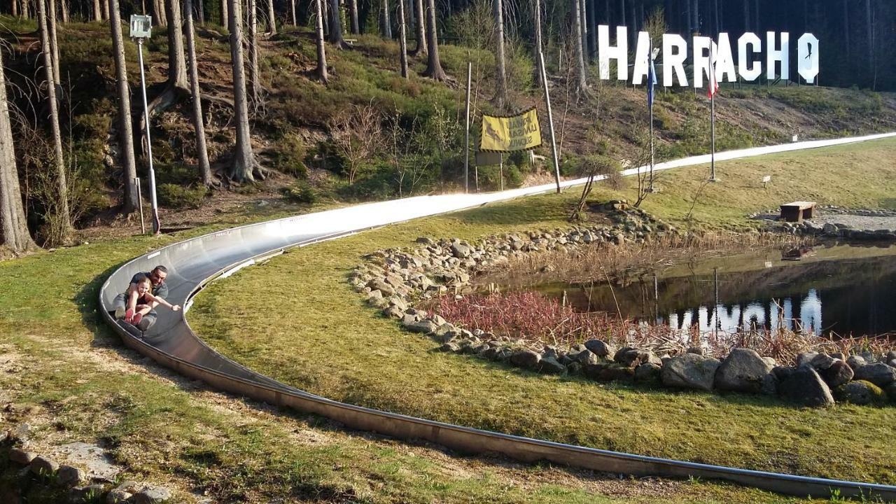 Harrachov Resident Apartments "Terrace & Chill" - High Speed Wifi, Smart Tv, Netflix, Disney Plus Exteriör bild