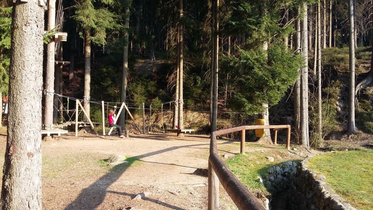 Harrachov Resident Apartments "Terrace & Chill" - High Speed Wifi, Smart Tv, Netflix, Disney Plus Exteriör bild